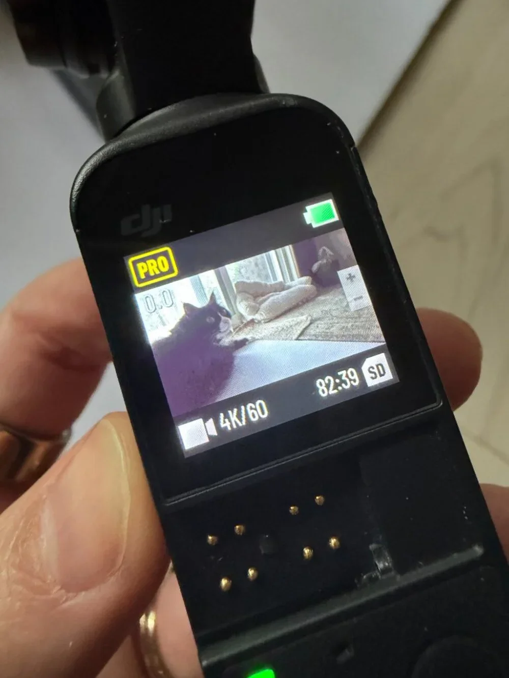 DJI Osmo Pocket 2 Gimbal